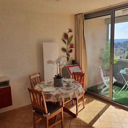 La vue du château - tout confort Gréoux-les-Bains Extérieur photo